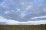 Everglades Sky