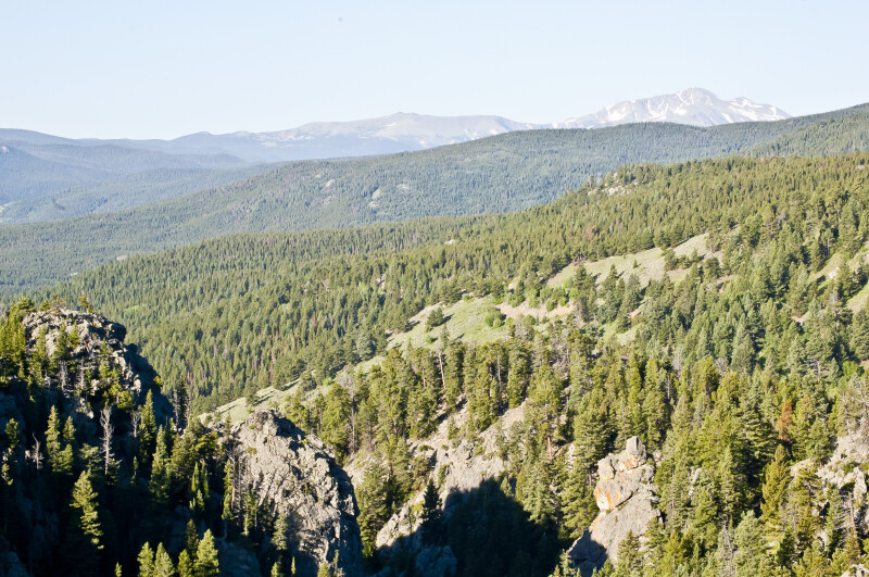 Evergreen Forest With View of Rocky Mountains