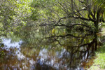 Fairchild Lake Shoreline