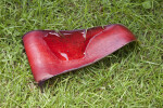 Fallen, Red Banana Tree Flower Petal