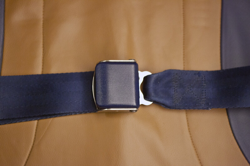 Fastened Seat Belt on a Leather Seat