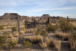 Fence Remnants