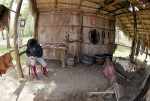 Fish-Eye View of the Tanner's Shop