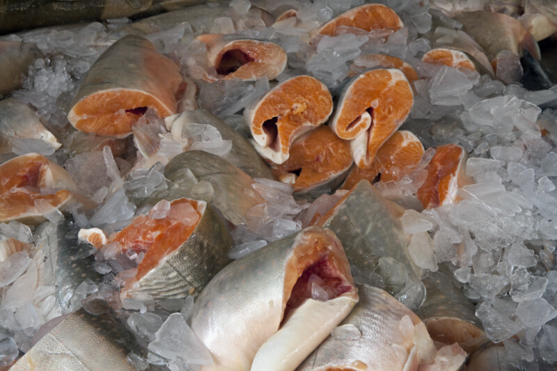 Fish in a Container of Ice at Haymarket Square