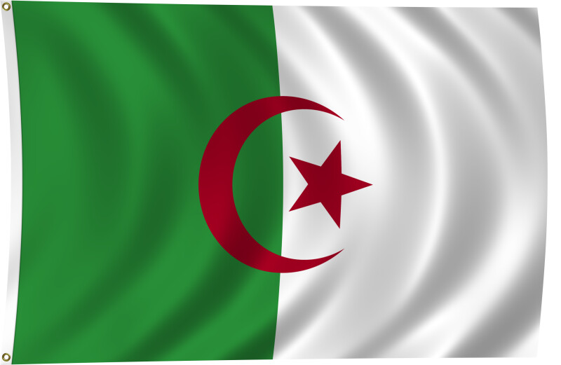 Flag of Algeria, 2011