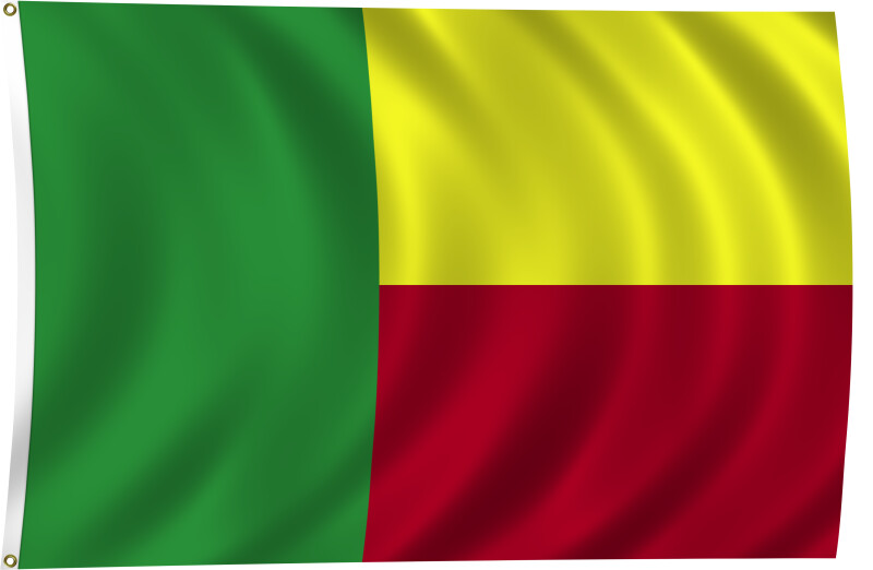 Flag of Benin, 2011
