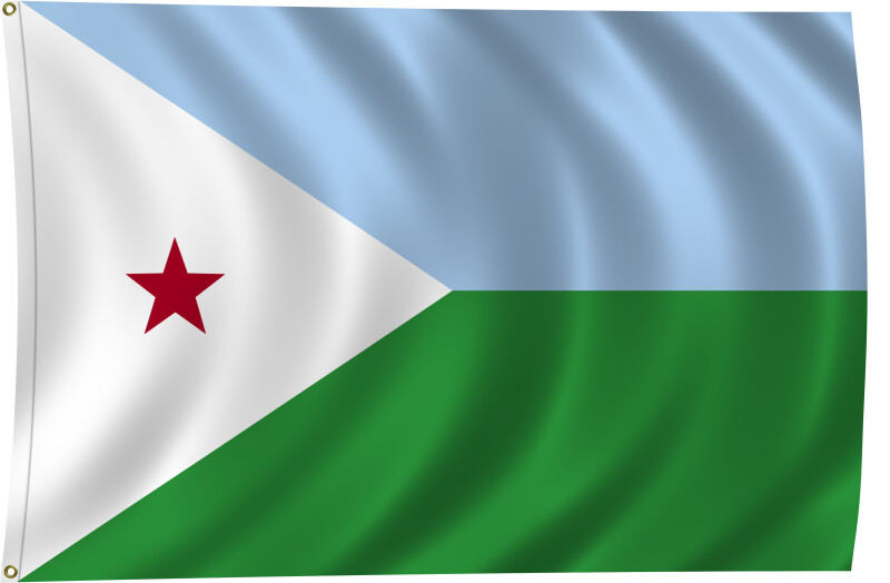 Flag of Djibouti, 2011