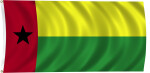 Flag of Guinea-Bissau, 2011