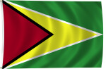 Flag of Guyana, 2011