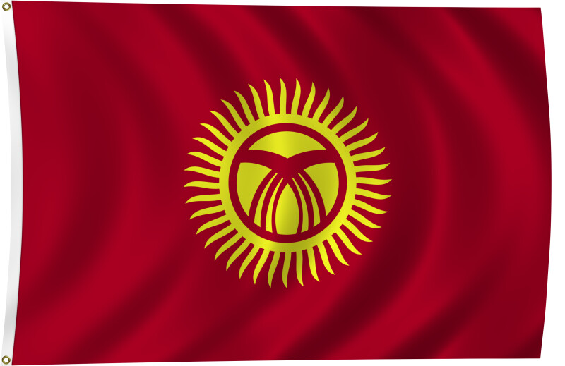 Flag of Kyrgyzstan, 2011