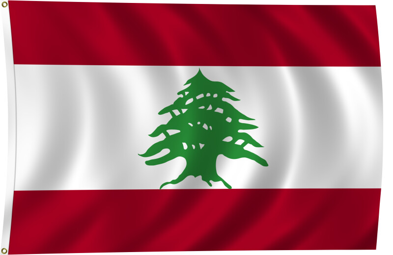 Flag of Lebanon, 2011