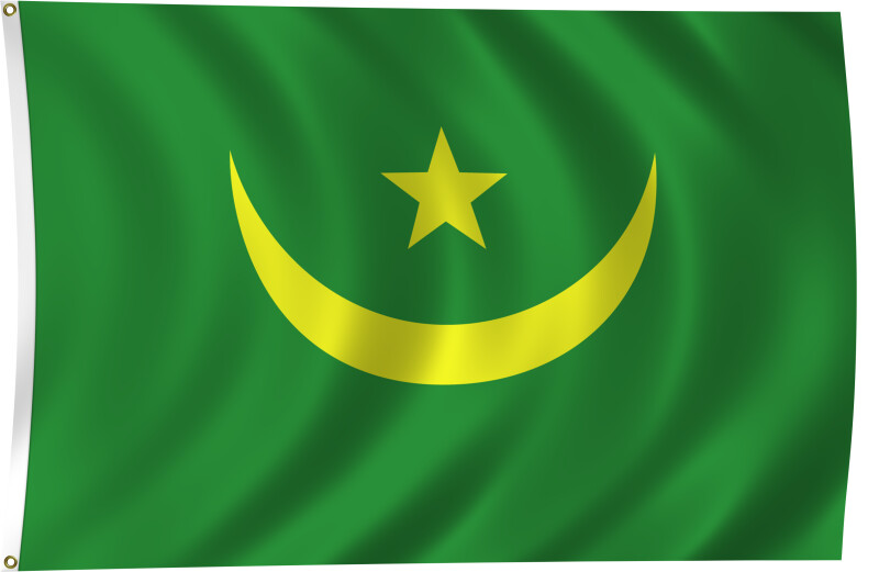 Flag of Mauritania, 2011