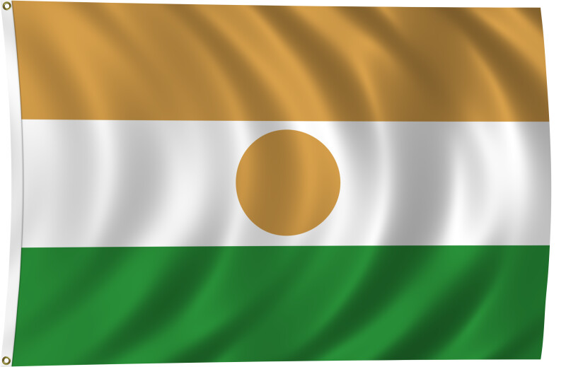 Flag of Niger, 2011