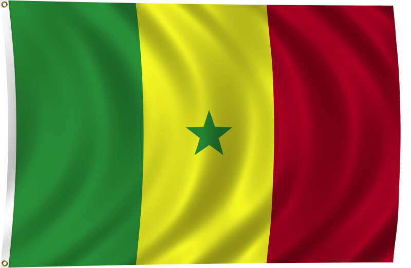Flag of Senegal, 2011