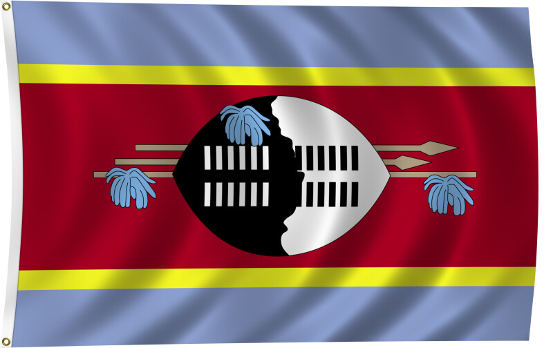 Flag of Swaziland, 2011
