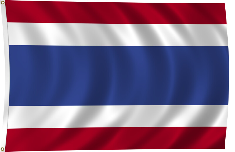 Flag of Thailand, 2011