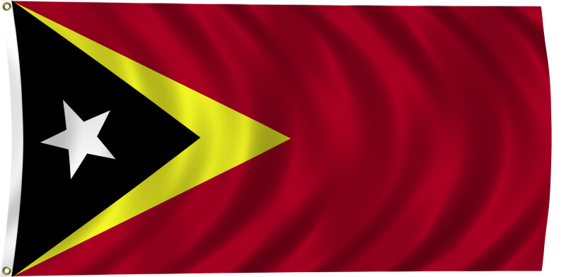 Flag of Timor-Leste, 2011