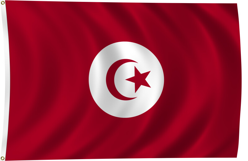 Flag of Tunisia, 2011
