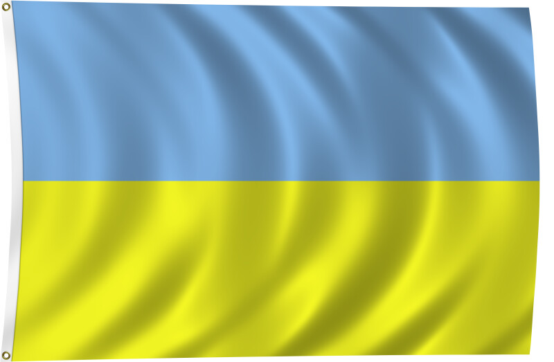 Flag of Ukraine, 2011
