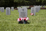 Flowers at Grave