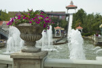 Flowers at Kennywood