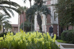 Flowers at Westcott Building