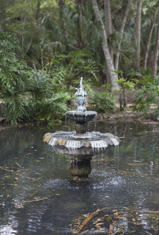 Flowing Fountain in Center of Small Pond