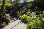 Footpath in Greenhouse