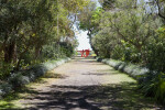 Footpath Leading to Red, Artistic Structure