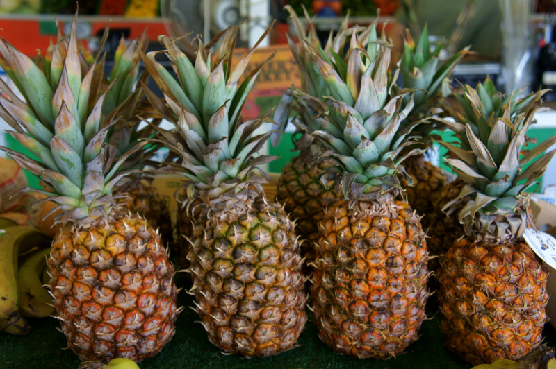 Four Tropical Pineapples
