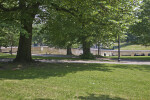 Frog Pond at Boston Common