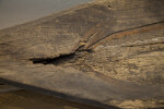 Front of a Dugout Canoe