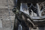 Front View of Gargoyle Sculpture at New Town Hall