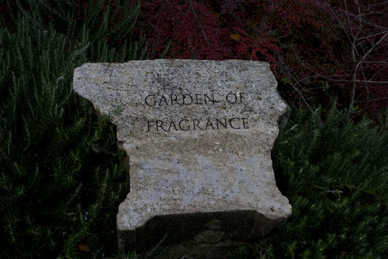 "Garden of Fragrance" Rock