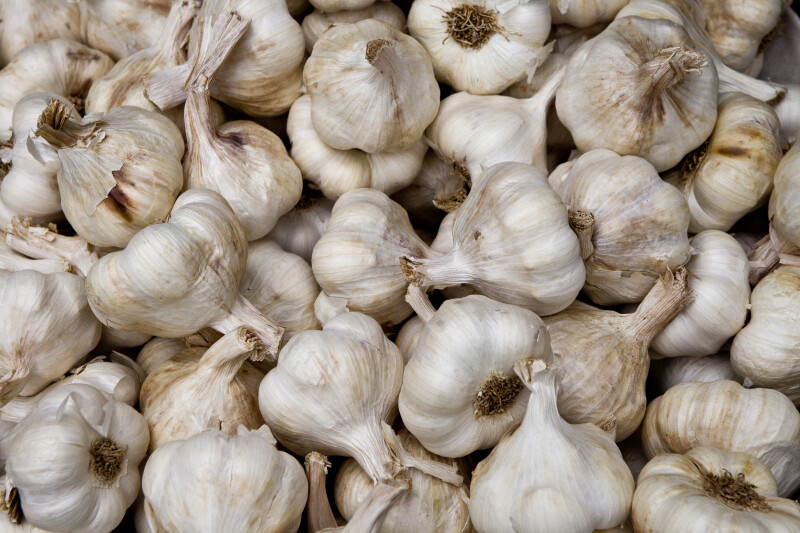 Garlic Detail