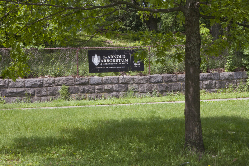 General View at The Arnold Arboretum of Harvard University