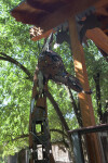 Giraffe Animal Sculpture Made of Metal at the Sacramento Zoo