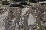 Glacial Till at Tuolumne Meadows