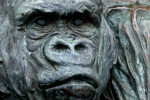 Gorilla Statue Close-Up