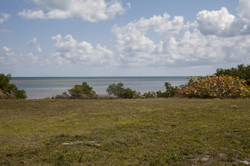 Grass Field Leading to the Ocean at Biscayne National Park