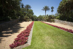 Grass Footpath