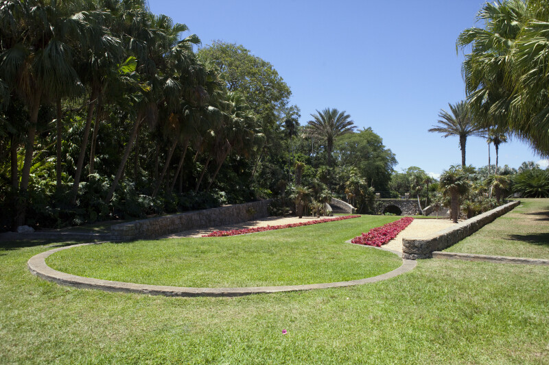 Grassy Area at the Fairchild Tropical Botanical Garden
