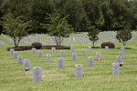 Graves with Flowers