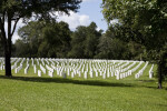 Gravestones in the Grass