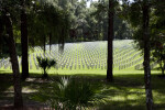 Gravestones in the Sun