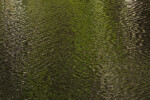 Green Reflection on Water