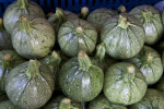 Green, Rounded Squash