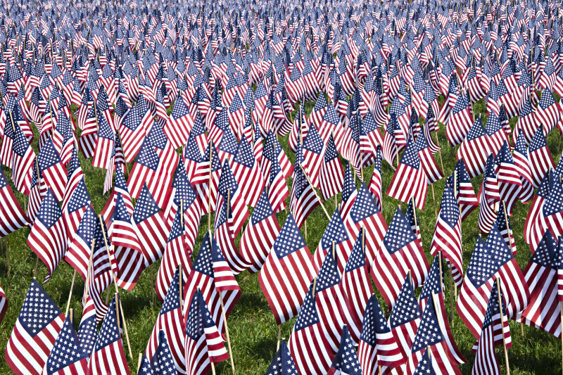 Group of American Flags at Boston Common