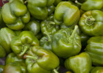 Group of Green Bell Peppers at Haymarket Square