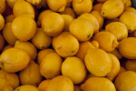 Group of Lemons at Haymarket Square